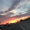caligerrl
